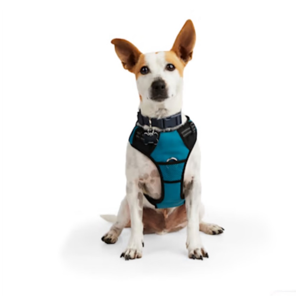 EveryYay Embrace the Pace Teal Reflective Dog Harness Small New w/ tag cut off - Picture 2 of 9
